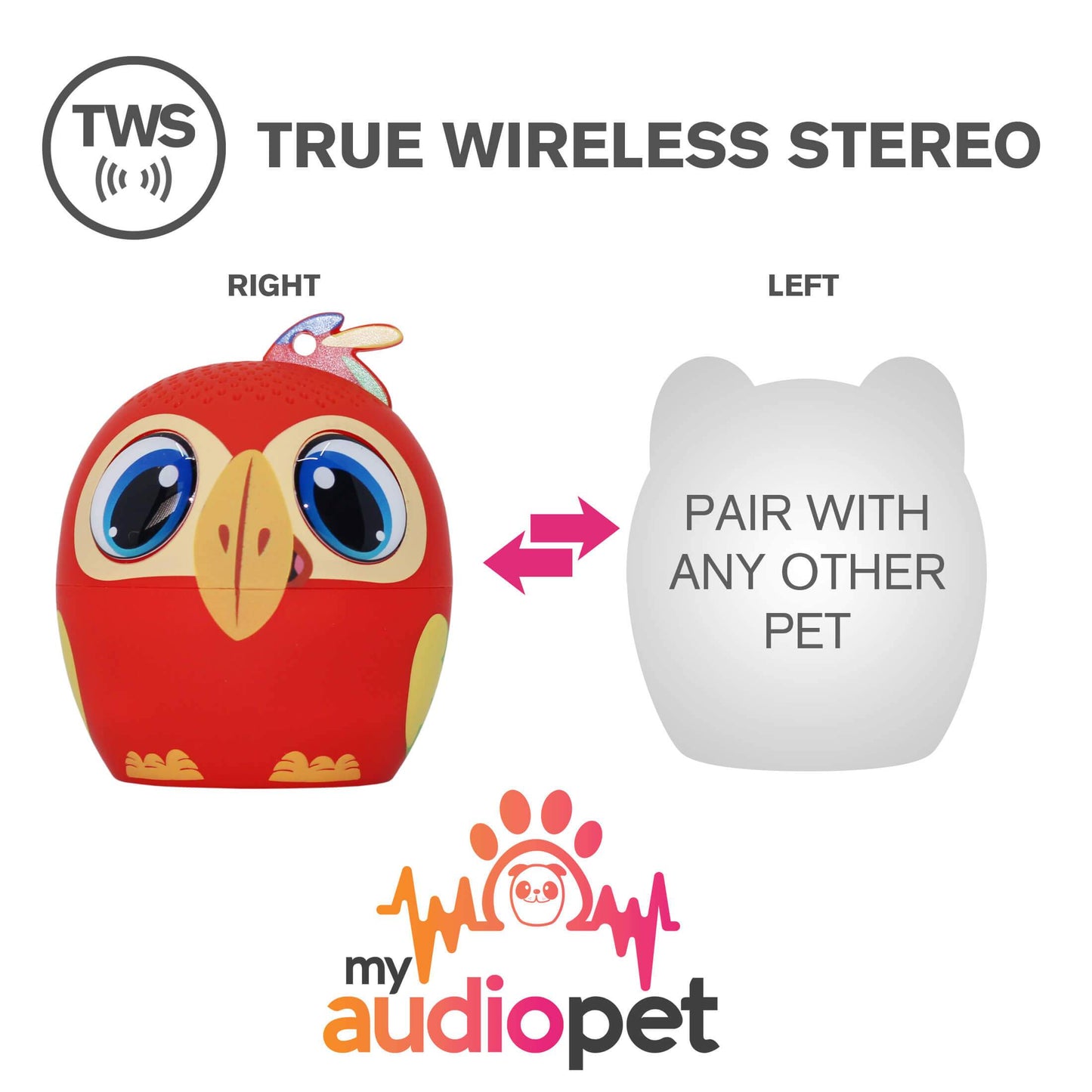 Pollyphonic the Parrot 5.0